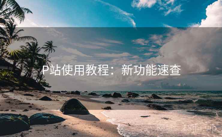 P站使用教程：新功能速查