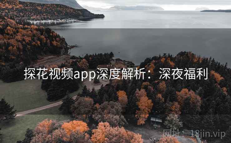 探花视频app深度解析：深夜福利