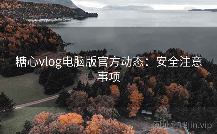 糖心vlog电脑版官方动态:安全注意事项